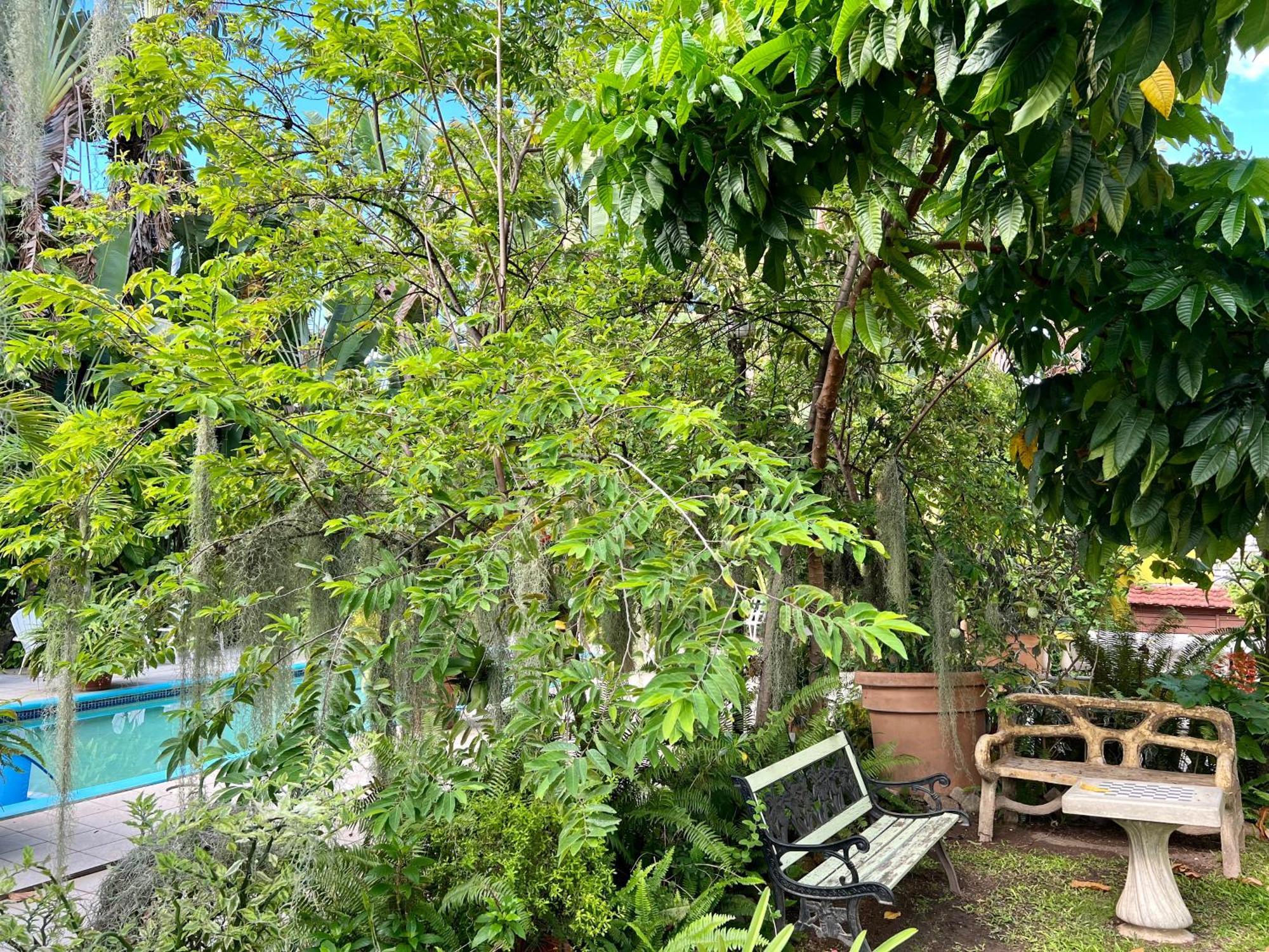 Orchid Cottage Kingston Ngoại thất bức ảnh