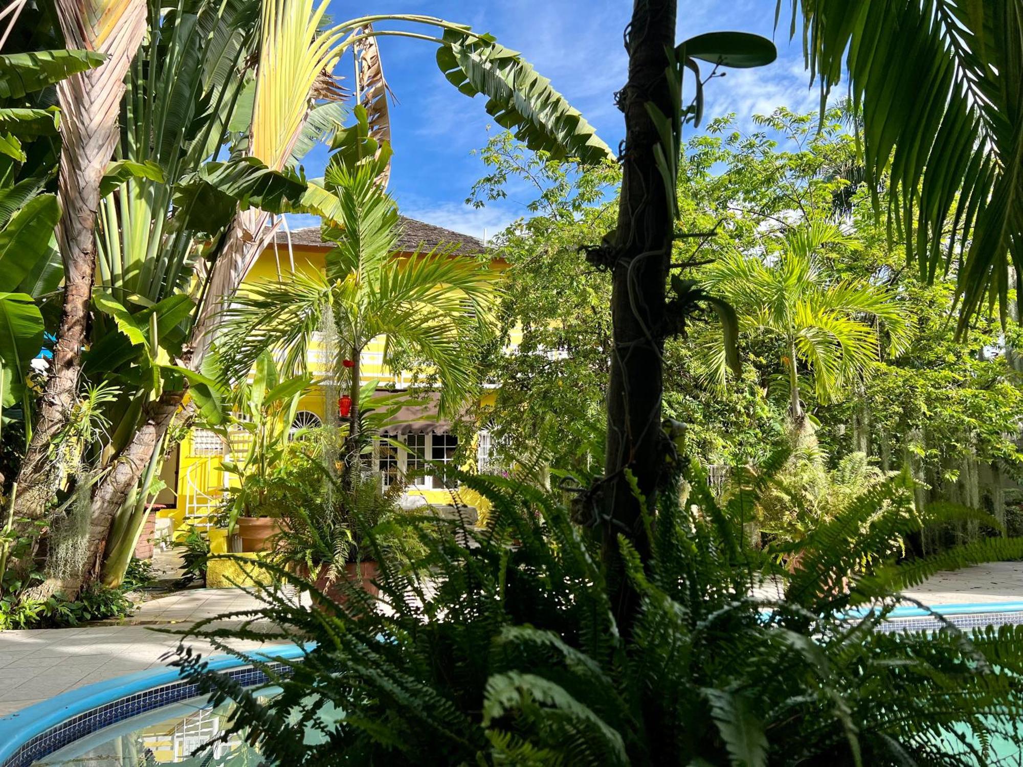 Orchid Cottage Kingston Ngoại thất bức ảnh