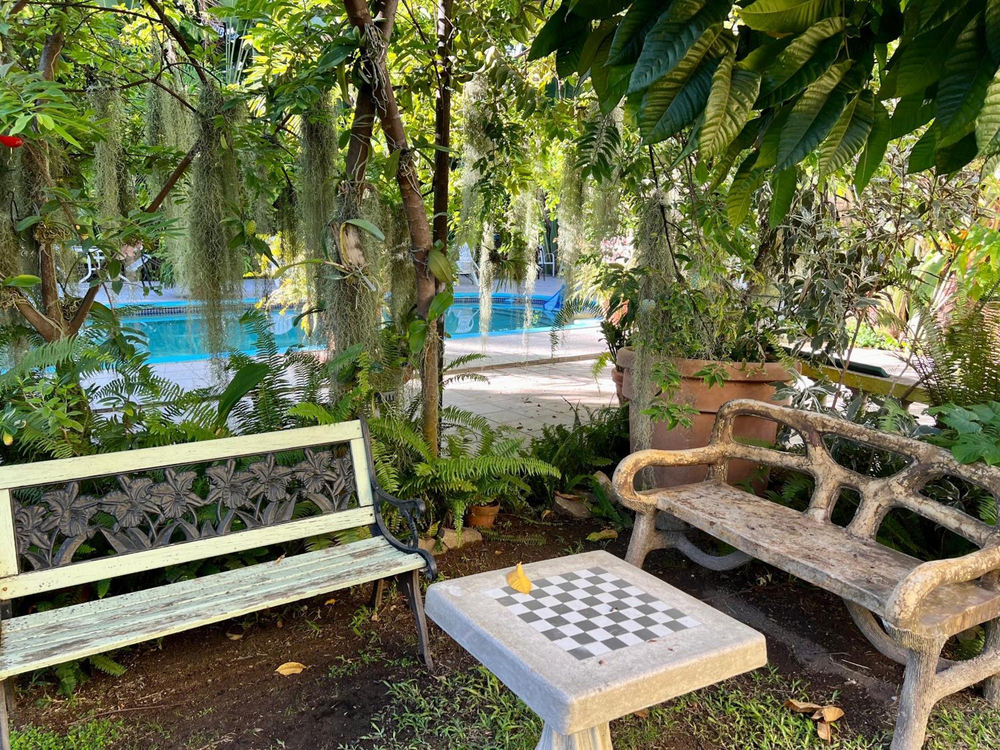 Orchid Cottage Kingston Ngoại thất bức ảnh