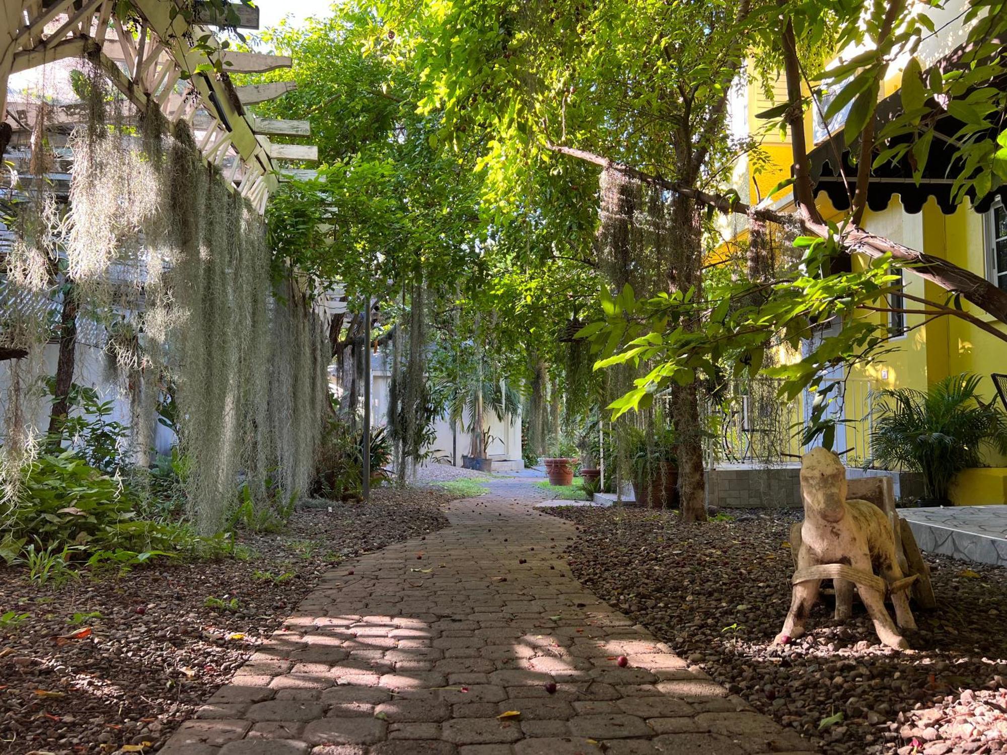 Orchid Cottage Kingston Ngoại thất bức ảnh