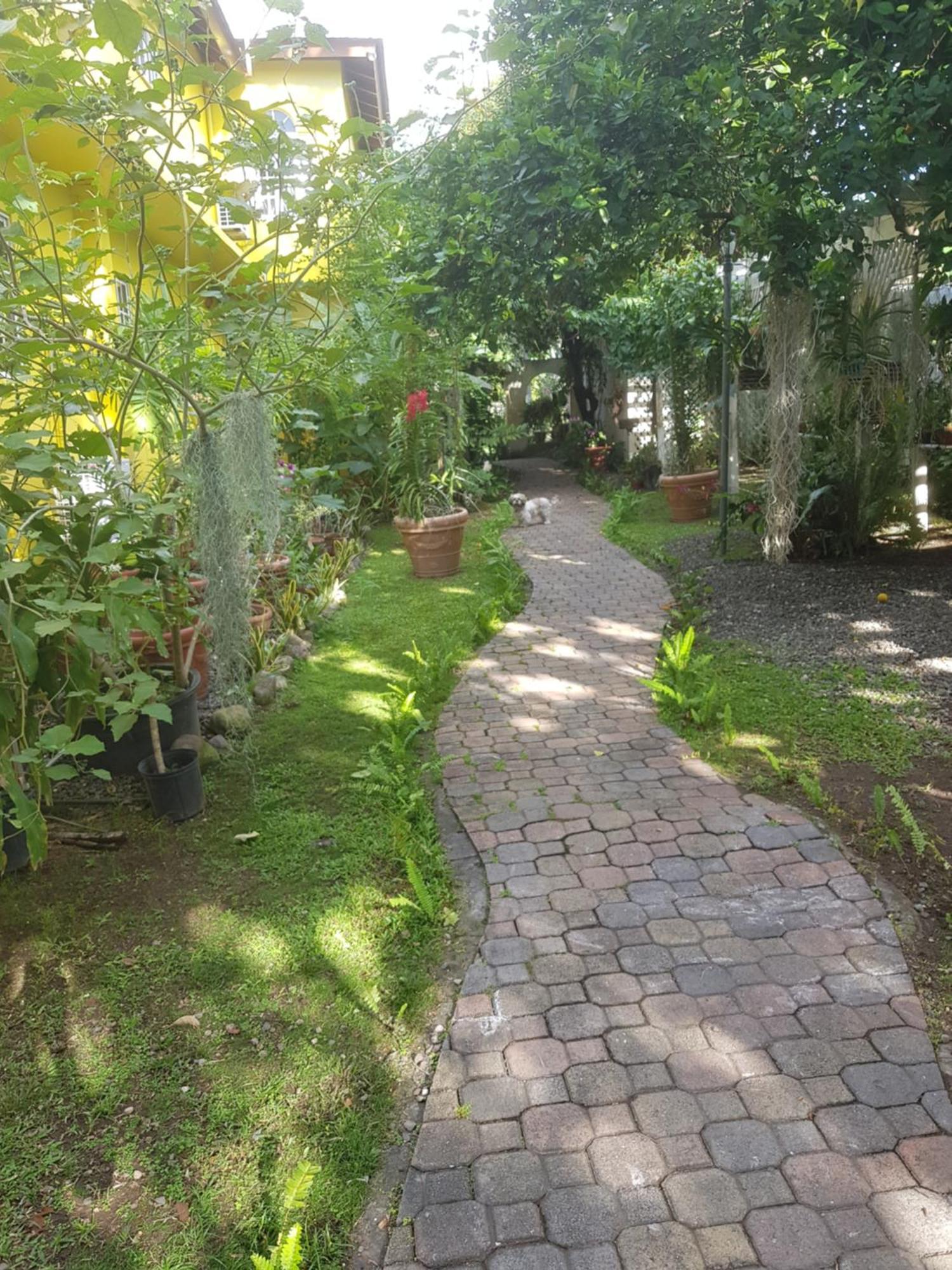 Orchid Cottage Kingston Phòng bức ảnh