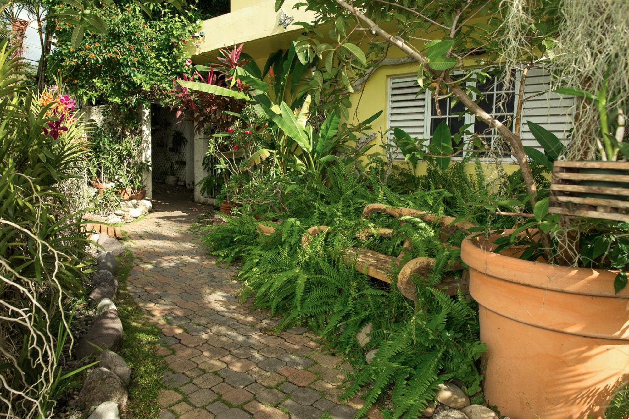Orchid Cottage Kingston Phòng bức ảnh