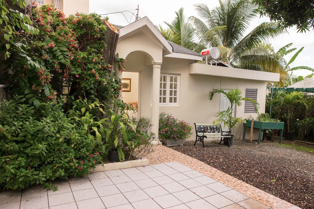 Orchid Cottage Kingston Ngoại thất bức ảnh