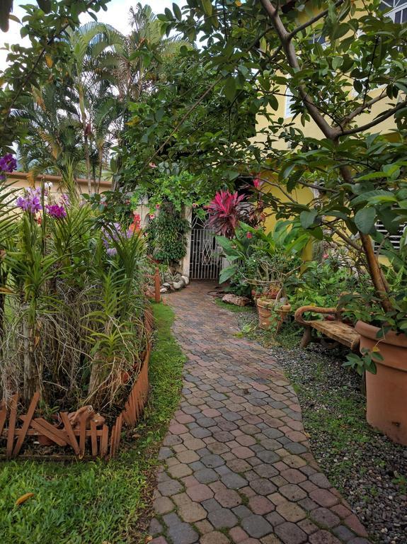 Orchid Cottage Kingston Ngoại thất bức ảnh