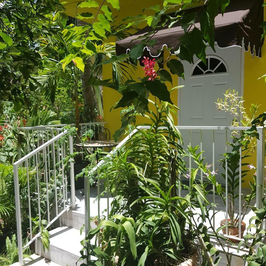 Orchid Cottage Kingston Ngoại thất bức ảnh